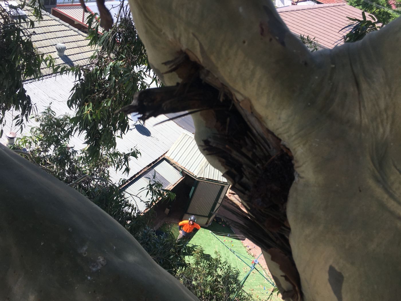 View looking down from a climber’s cut to a crew member on the ground