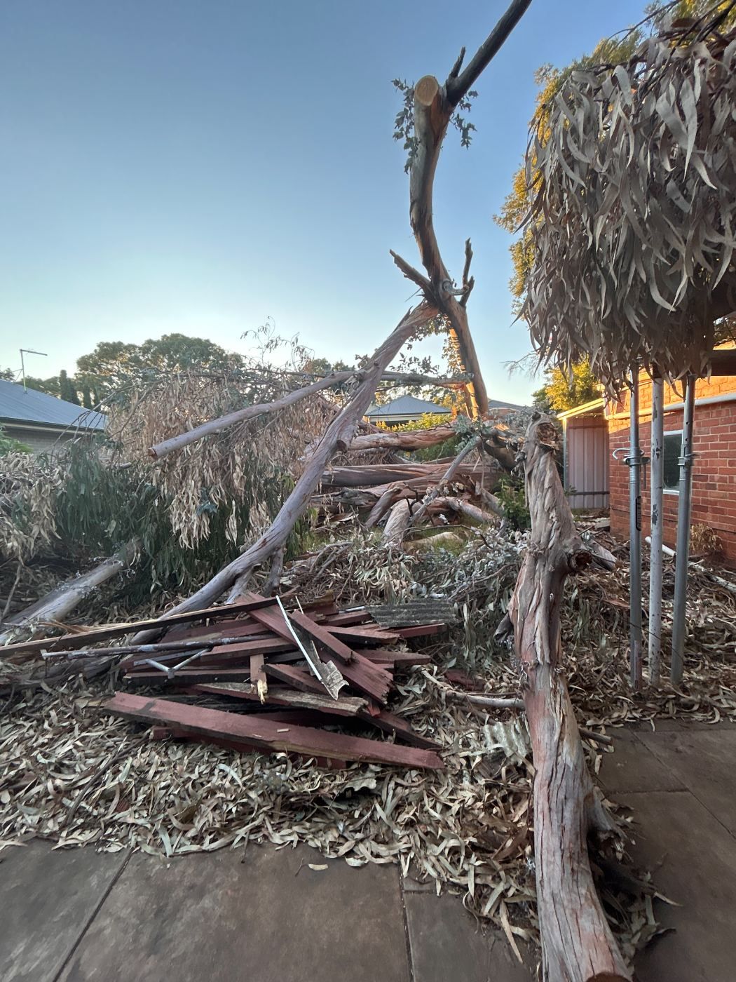 Storm debris from a fallen tree in a backyard